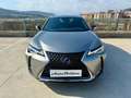 Lexus UX 250h Premium 2WD Gris - thumbnail 14