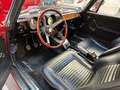 Alfa Romeo GT JUNIOR 1300 UNIFICATO ISCRITTO ASI + CRS Červená - thumbnail 4