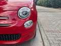 Fiat 500 500 1.0 Hybrid 70cv Rosso - thumbnail 9