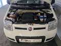 Fiat New Panda 1.2 4X4 CLIM Blanc - thumbnail 10