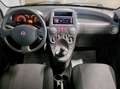 Fiat New Panda 1.2 4X4 CLIM Blanc - thumbnail 7