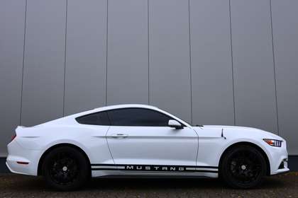 Ford Mustang MUSTANG Coupe 317pk Automa.