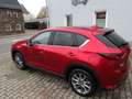 Mazda CX-5 Sports-Line AWD,Matrix LED Rouge - thumbnail 10