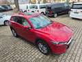 Mazda CX-5 Sports-Line AWD,Matrix LED Rojo - thumbnail 16