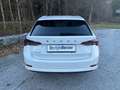 Skoda Octavia STYLE TDI DSG *MATRIX*MASSAGE*SPORTLENKRAD* Weiß - thumbnail 7
