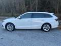Skoda Octavia STYLE TDI DSG *MATRIX*MASSAGE*SPORTLENKRAD* Weiß - thumbnail 4