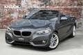 BMW 228 2-serie Cabrio 228i High Executive 18 Inch / Navig Gris - thumbnail 1