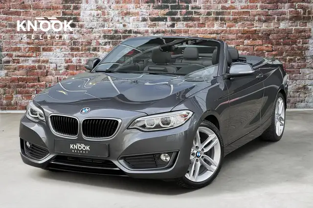BMW 228 2-serie Cabrio 228i High Executive 18 Inch / Navig