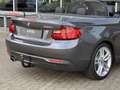 BMW 228 2-serie Cabrio 228i High Executive 18 Inch / Navig Gris - thumbnail 11