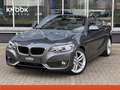 BMW 228 2-serie Cabrio 228i High Executive 18 Inch / Navig Gris - thumbnail 32