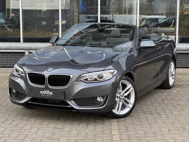 BMW 228 2-serie Cabrio 228i High Executive Automaat / Navi