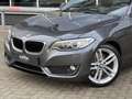 BMW 228 2-serie Cabrio 228i High Executive 18 Inch / Navig Gris - thumbnail 10