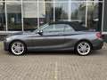 BMW 228 2-serie Cabrio 228i High Executive 18 Inch / Navig Gris - thumbnail 9