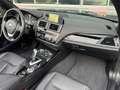 BMW 228 2-serie Cabrio 228i High Executive 18 Inch / Navig Gris - thumbnail 12