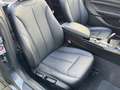BMW 228 2-serie Cabrio 228i High Executive 18 Inch / Navig Gris - thumbnail 16