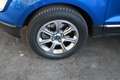 Ford EcoSport 1,0 EcoBoost Titanium  Winterpaket,Kamera Blau - thumbnail 10