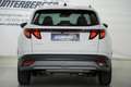Hyundai TUCSON NX4 Jubile 1,6 T-GDi 2WD 48V Weiß - thumbnail 10