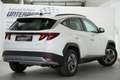 Hyundai TUCSON NX4 Jubile 1,6 T-GDi 2WD 48V Weiß - thumbnail 7