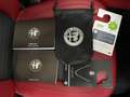 Alfa Romeo Stelvio 2.2 TD 190 CV EXECUTIVE 19" DISTRIBUZIONE ESEGUITA Nero - thumbnail 46