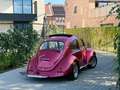 Volkswagen Kever 1300 Serie - 1966 - 1.6i - Manueel - Open Air Rot - thumbnail 3