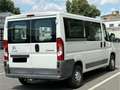 Citroen Jumper Kasten 33 L2H1 Profi verglast BlueHDi 130 Weiß - thumbnail 7