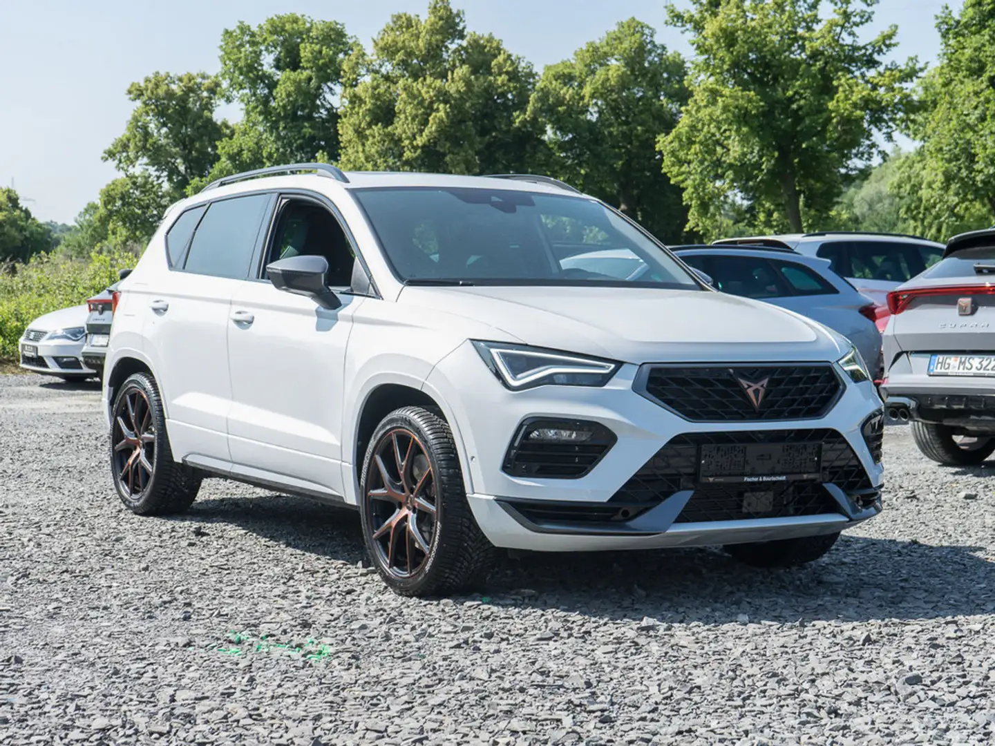 CUPRA Ateca 2.0 TSI Basis 4Drive NAVI PANO NUR6851K Weiß - 2