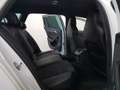 Skoda Superb Combi 2,0 TDI DSG Sportline Matrix AHK Standhzg Weiß - thumbnail 10
