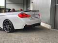 BMW 435 i Cabrio M-Performance 360°/LED/H&K/Keyless Weiß - thumbnail 6