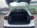 Suzuki Vitara 1.4 Mild-Hybrid Club Klima*USB Wit - thumbnail 5