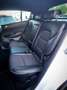 Kia Sportage Sportage IV 2021 1.6 crdi mhev GT Line awd 136cv Bianco - thumbnail 14