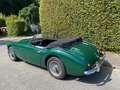 Austin-Healey 3000 MK III (BJ8) Grün - thumbnail 6