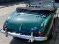 Austin-Healey 3000 MK III (BJ8) Grün - thumbnail 2