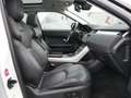 Land Rover Range Rover Evoque SE Dynamic Weiß - thumbnail 3