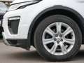 Land Rover Range Rover Evoque SE Dynamic Weiß - thumbnail 9