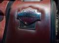 Ford F 150 Harley Davidson Edition - thumbnail 4