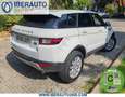 Land Rover Range Rover Evoque 2.0TD4 SE Dynamic 4WD Aut. 150 Blanco - thumbnail 5