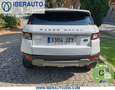 Land Rover Range Rover Evoque 2.0TD4 SE Dynamic 4WD Aut. 150 Blanco - thumbnail 6