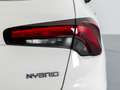 Fiat Tipo SW CLIFE 1.5 HYBRID 130CV DCT Blanco - thumbnail 23