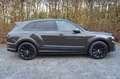 Bentley Bentayga V8S Belgian Equestrian Edition 1/10 MEGA FULL! Gris - thumbnail 6