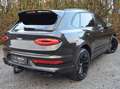 Bentley Bentayga V8S Belgian Equestrian Edition 1/10 MEGA FULL! Gris - thumbnail 5