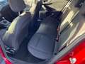 Ford Focus ST-Line mehrere Modelle vorrätig Rot - thumbnail 8