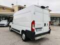 Fiat Ducato 2.3 MJT 130cv L2 H2 Ok NEOPATENTATI Blanc - thumbnail 4