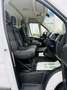 Fiat Ducato 2.3 MJT 130cv L2 H2 Ok NEOPATENTATI Blanc - thumbnail 13