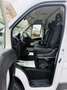Fiat Ducato 2.3 MJT 130cv L2 H2 Ok NEOPATENTATI Blanc - thumbnail 7
