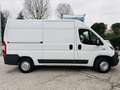 Fiat Ducato 2.3 MJT 130cv L2 H2 Ok NEOPATENTATI Blanc - thumbnail 6