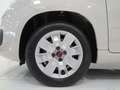 Fiat Panda 1.2 Easy 69cv E6  "Ottime CONDIZIONI!!!" Beige - thumbnail 7