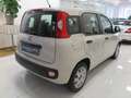 Fiat Panda 1.2 Easy 69cv E6  "Ottime CONDIZIONI!!!" Beige - thumbnail 4