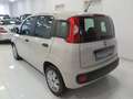 Fiat Panda 1.2 Easy 69cv E6  "Ottime CONDIZIONI!!!" Beige - thumbnail 6