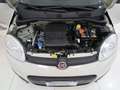 Fiat Panda 1.2 Easy 69cv E6  "Ottime CONDIZIONI!!!" Beige - thumbnail 15