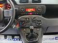 Fiat Panda 1.2 Easy 69cv E6  "Ottime CONDIZIONI!!!" Beige - thumbnail 14